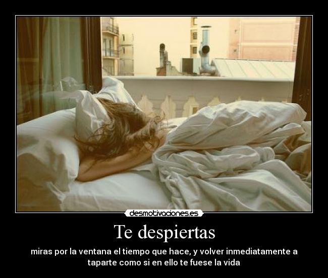 carteles despertarse ventana tiempo cama taparte vida desmotivaciones