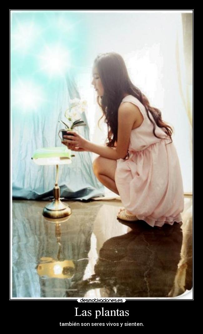Las plantas -