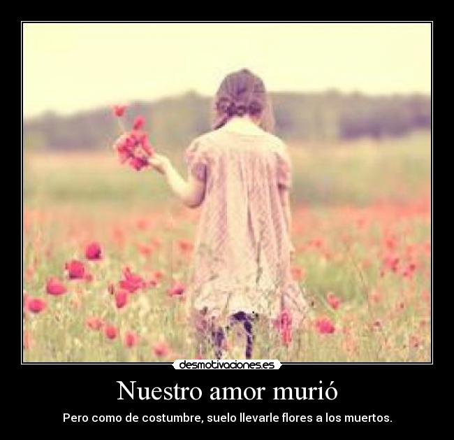 Nuestro amor murió - 