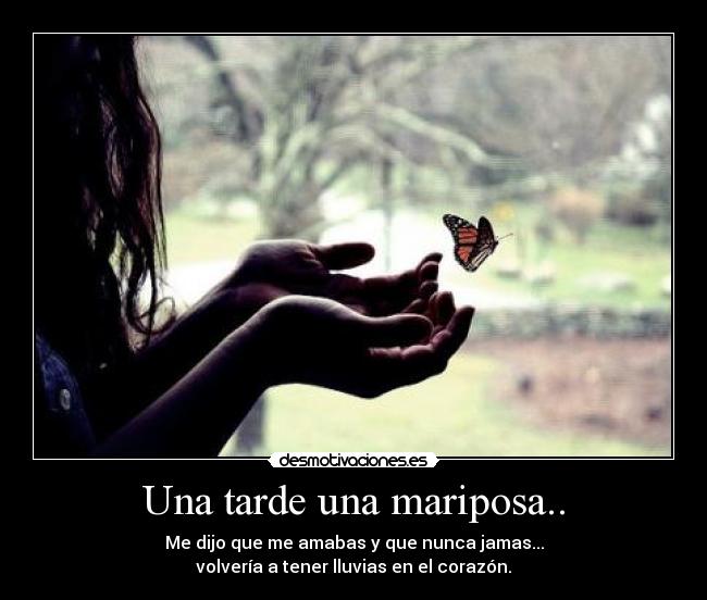 Una tarde una mariposa.. -