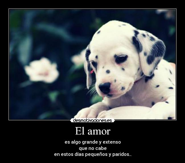 carteles amor shinoflow desmotivaciones
