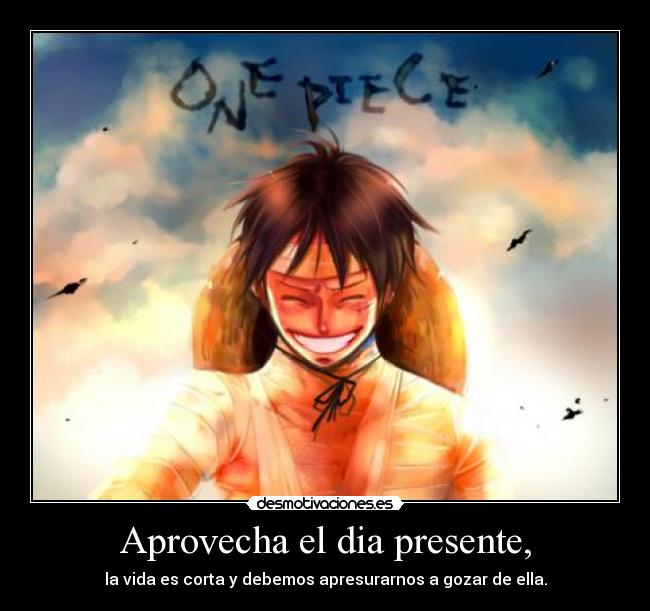 carteles one piece luffy carpe diem desmotivaciones