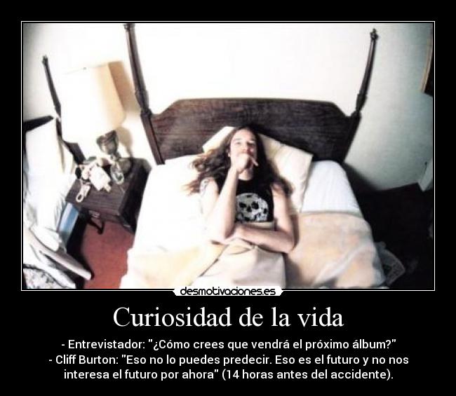 Curiosidad de la vida - 