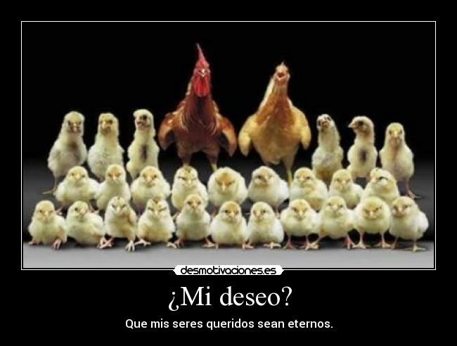 ¿Mi deseo? - 