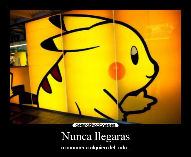 Nunca llegaras - a conocer a alguien del todo...