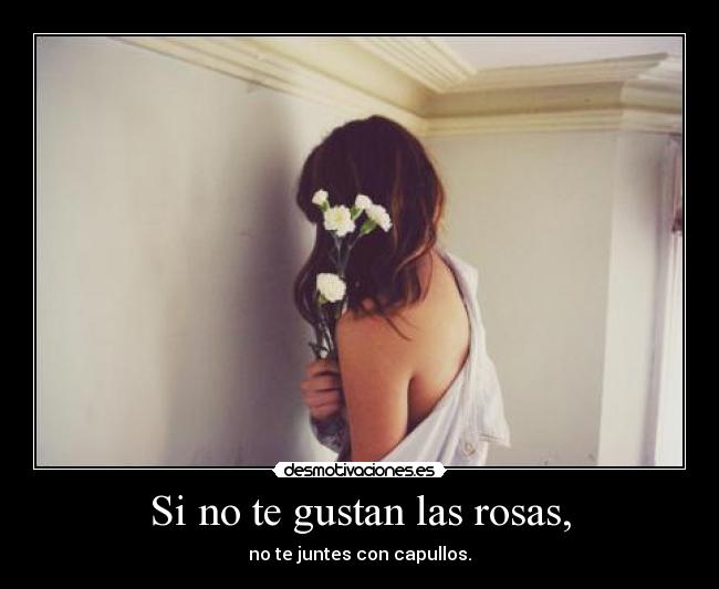 Si no te gustan las rosas, - 