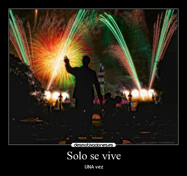 Solo se vive - 