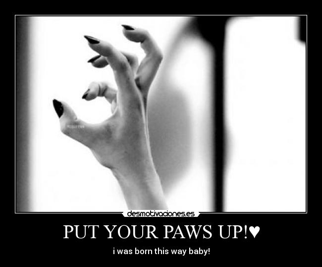 PUT YOUR PAWS UP!♥ -
