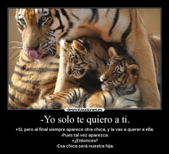 -Yo solo te quiero a ti. - 