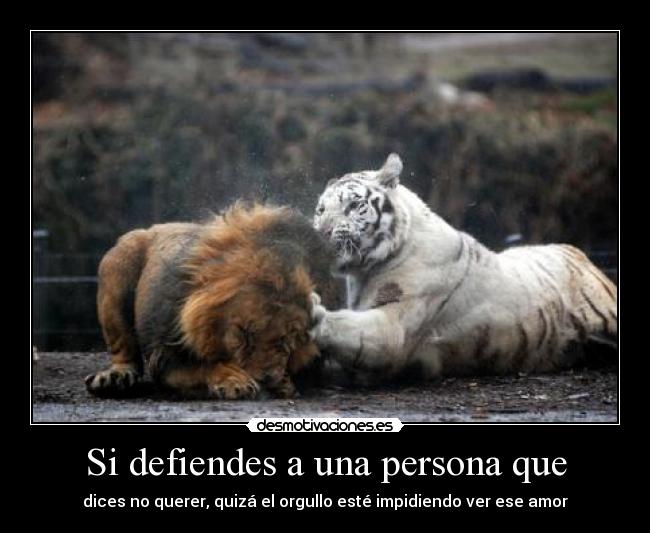 Si defiendes a una persona que -