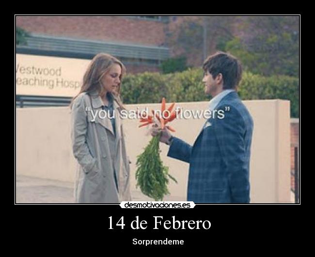 14 de Febrero - 