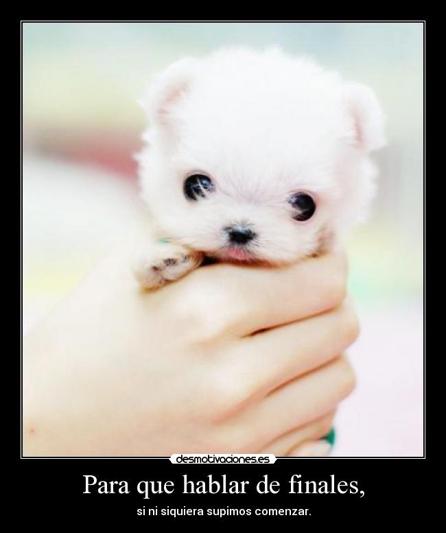 Para que hablar de finales, - si ni siquiera supimos comenzar.