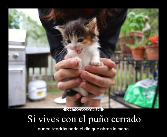 Si vives con el puño cerrado - 