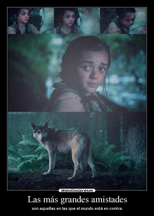 Las más grandes amistades -