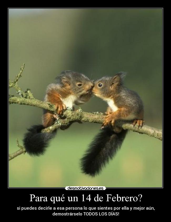 Para qué un 14 de Febrero? - si puedes decirle a esa persona lo que sientes por ella y mejor aún,
demostrárselo TODOS LOS DÍAS!