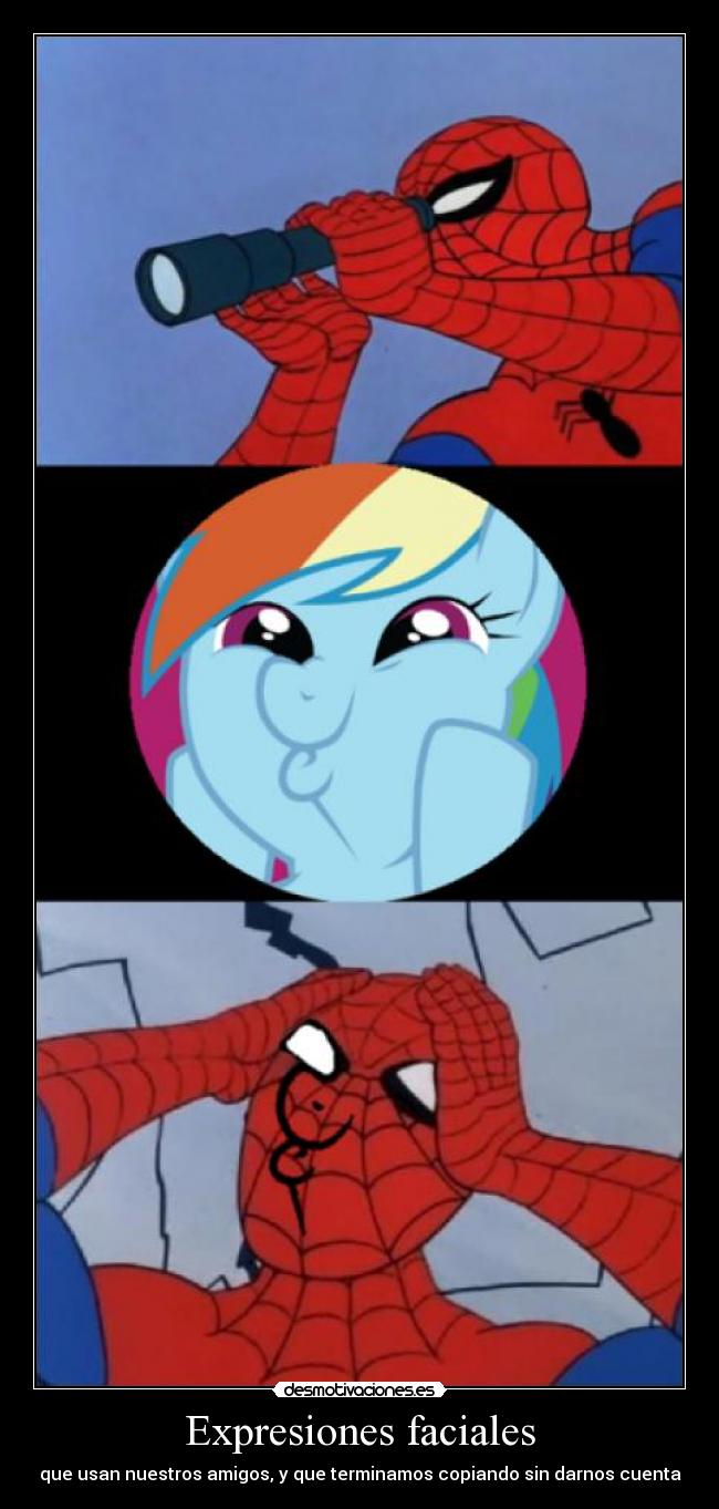 carteles dios mio este cartel realmente malo little pony rainbow dash spiderman desmotivaciones