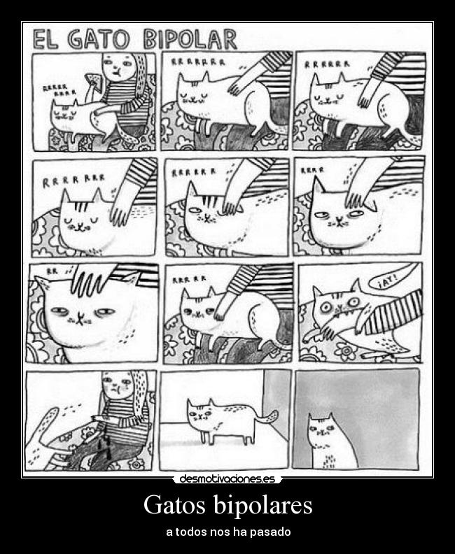 Gatos bipolares - 