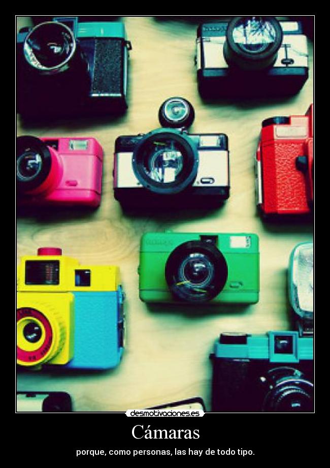 Cámaras - porque, como personas, las hay de todo tipo.