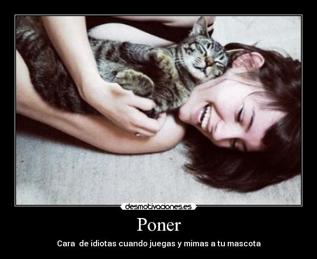 Poner -