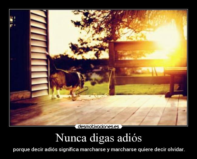 Nunca digas adiós - 