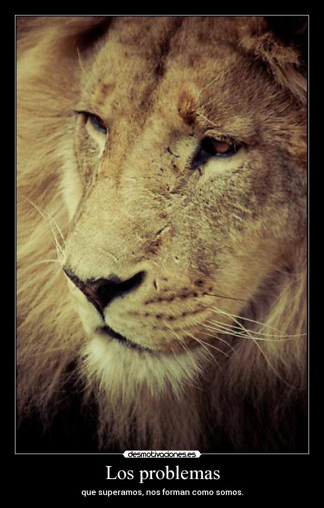 carteles problemas feliz cumpleanos feliz cumpleanos que cumpla feliz que cumpla feliz megaleoncartel desmotivaciones