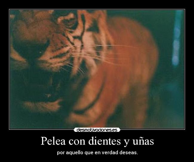 Pelea con dientes y uñas -