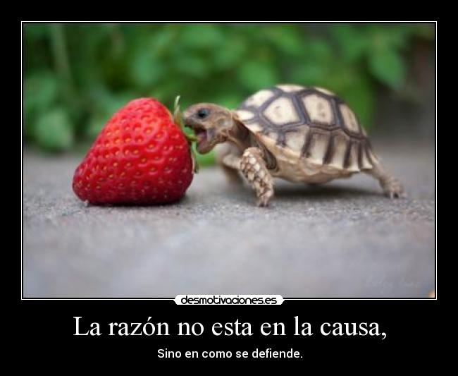 La razón no esta en la causa, - Sino en como se defiende.