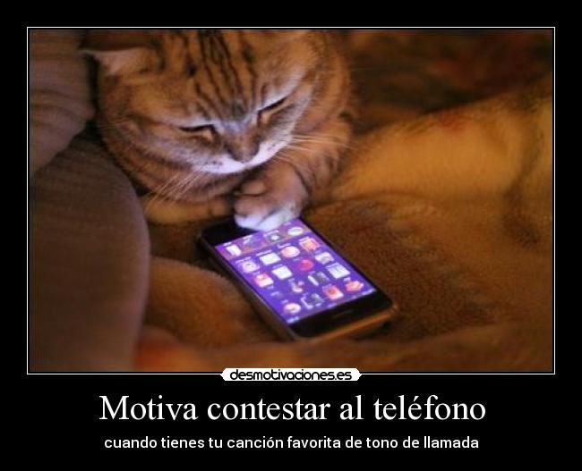 Motiva contestar al teléfono - cuando tienes tu canción favorita de tono de llamada