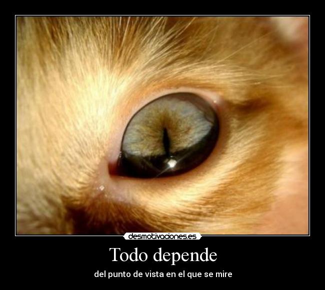 preguntas estupidas de la vida cotidiana im 225 genes y carteles de comicos pag 3 desmotivaciones preguntas estupidas de la vida cotidiana im 225 genes y carteles de comicos pag 3 desmotivaciones