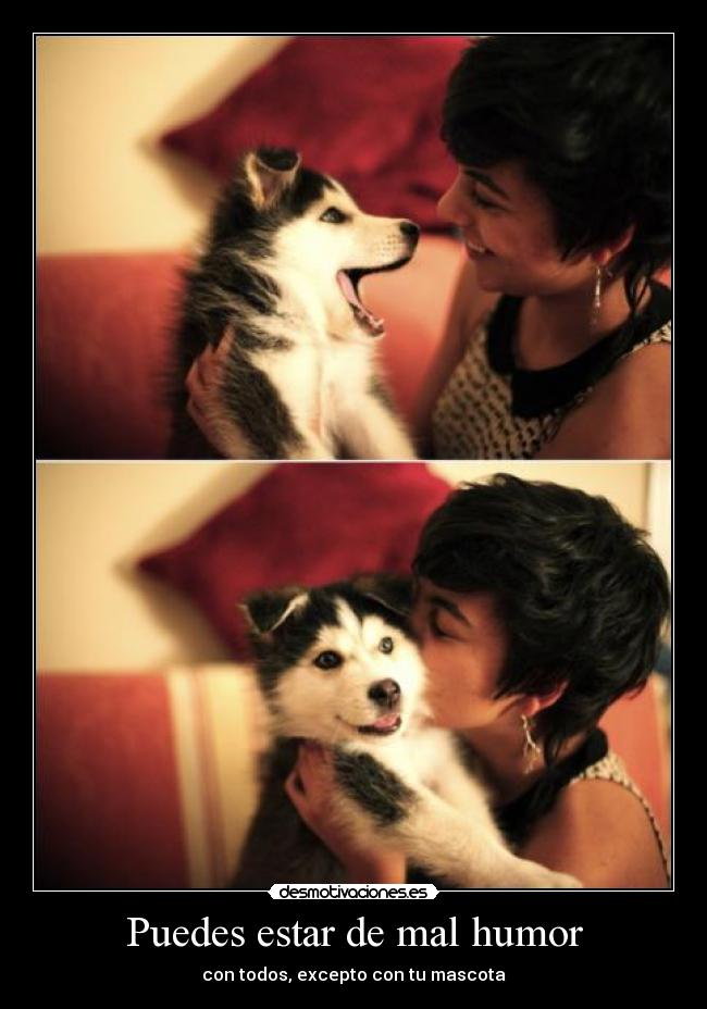 carteles humor asdf que cuqui pasa mucho ifeelgood desmotivaciones