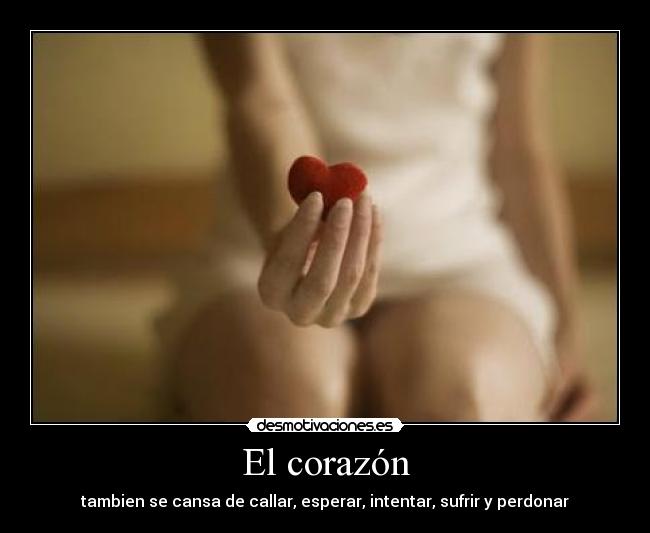 El corazón -