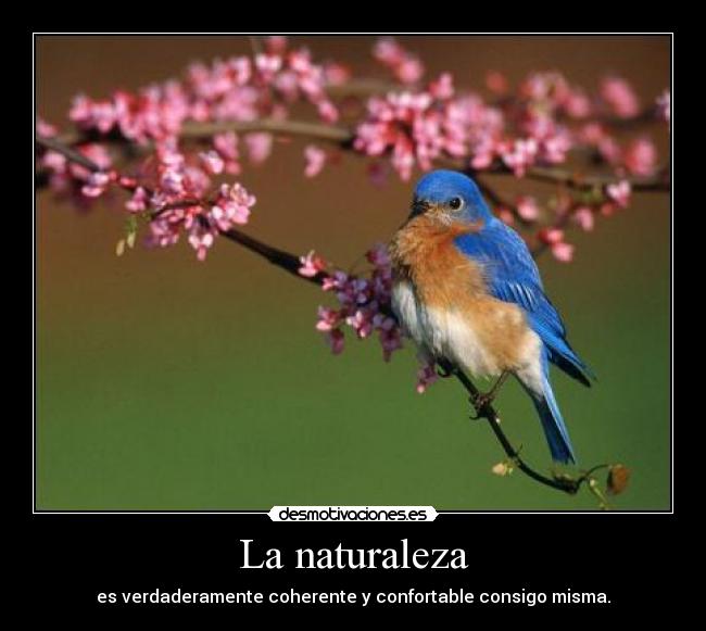 La naturaleza -