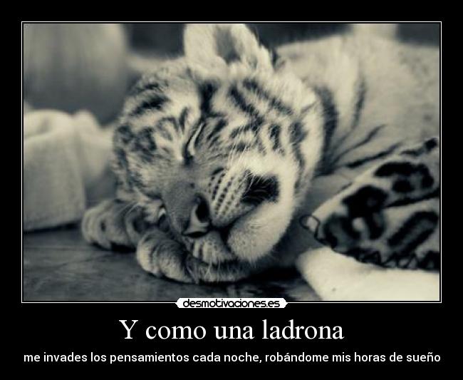 Y como una ladrona - 