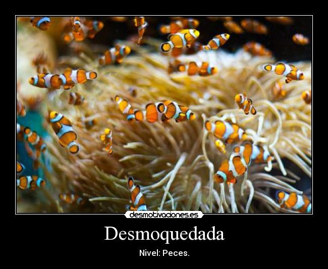 carteles papapitufo desmotivaciones