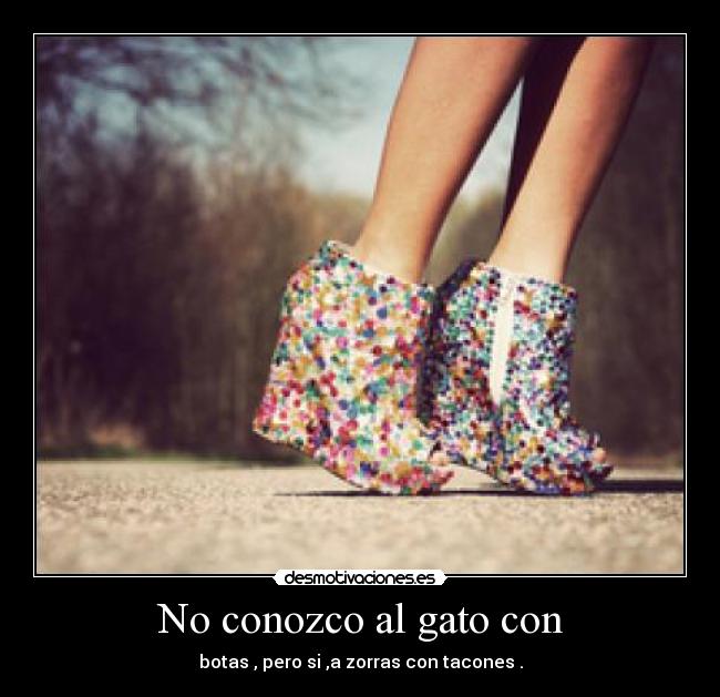 No conozco al gato con - botas , pero si ,a zorras con tacones .