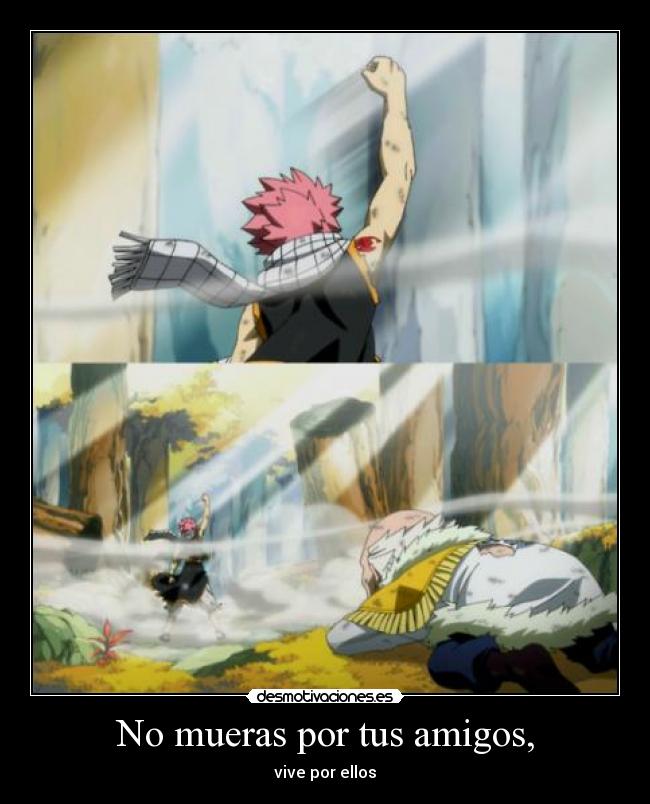 carteles amigos fairy tail12 desmotivaciones