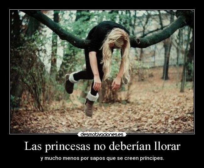 Las princesas no deberían llorar -