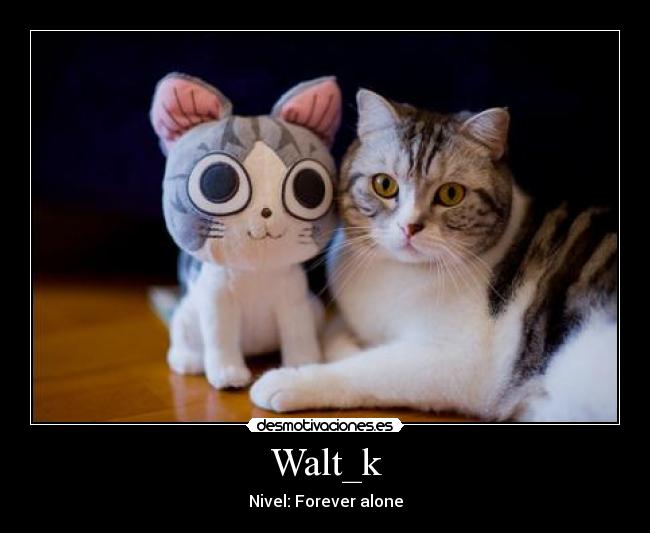 Walt_k - Nivel: Forever alone