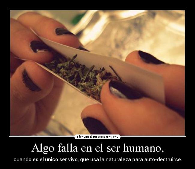 carteles drogas humanos desmotivaciones