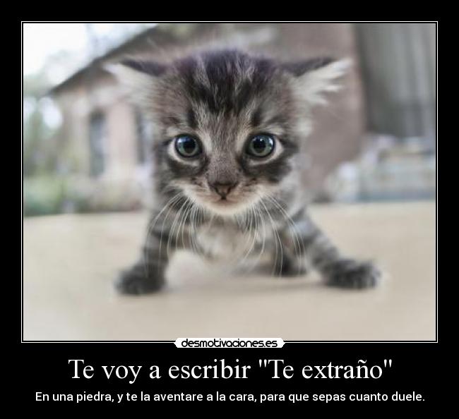 Te voy a escribir Te extraño -