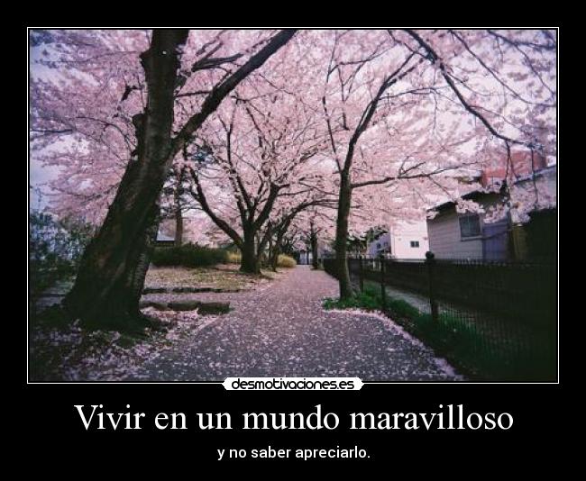 Vivir en un mundo maravilloso - y no saber apreciarlo.