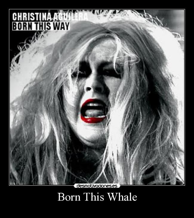 Born This Whale -