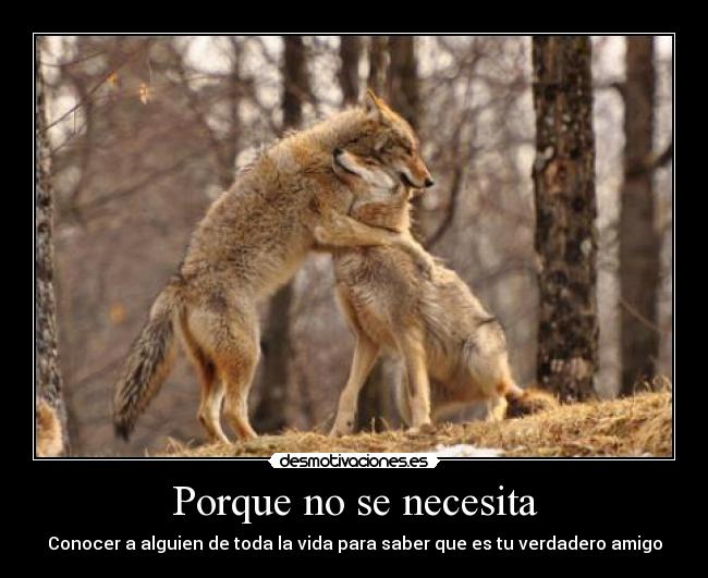 Porque no se necesita - 