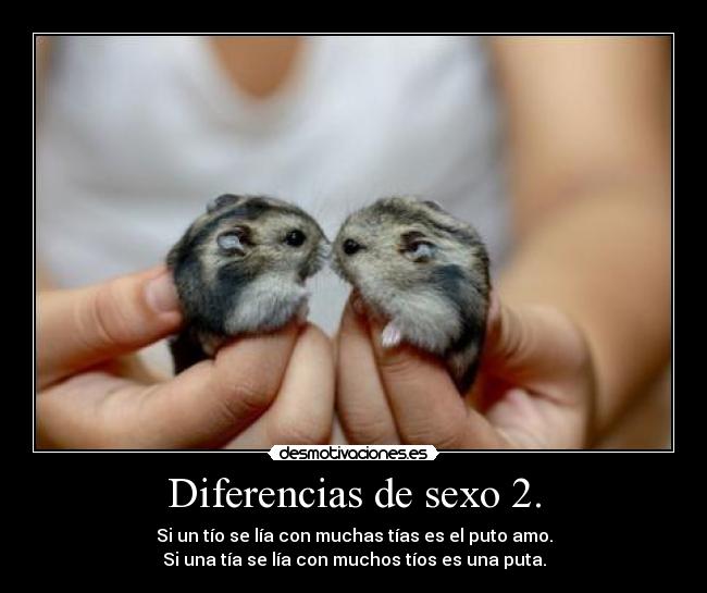 Diferencias de sexo 2. - Si un tío se lía con muchas tías es el puto amo.
Si una tía se lía con muchos tíos es una puta.