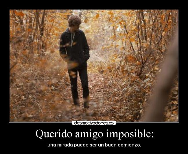 Querido amigo imposible: - una mirada puede ser un buen comienzo.