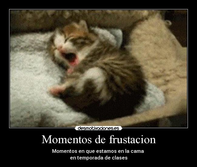 Momentos de frustacion - 