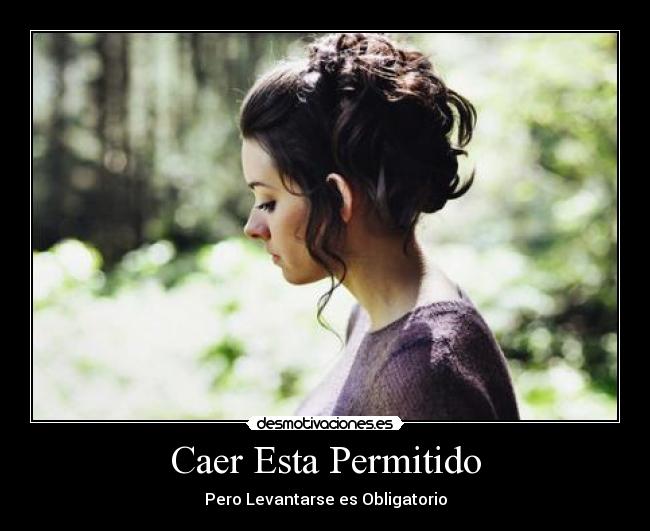 carteles caer esta permitido desmotivaciones