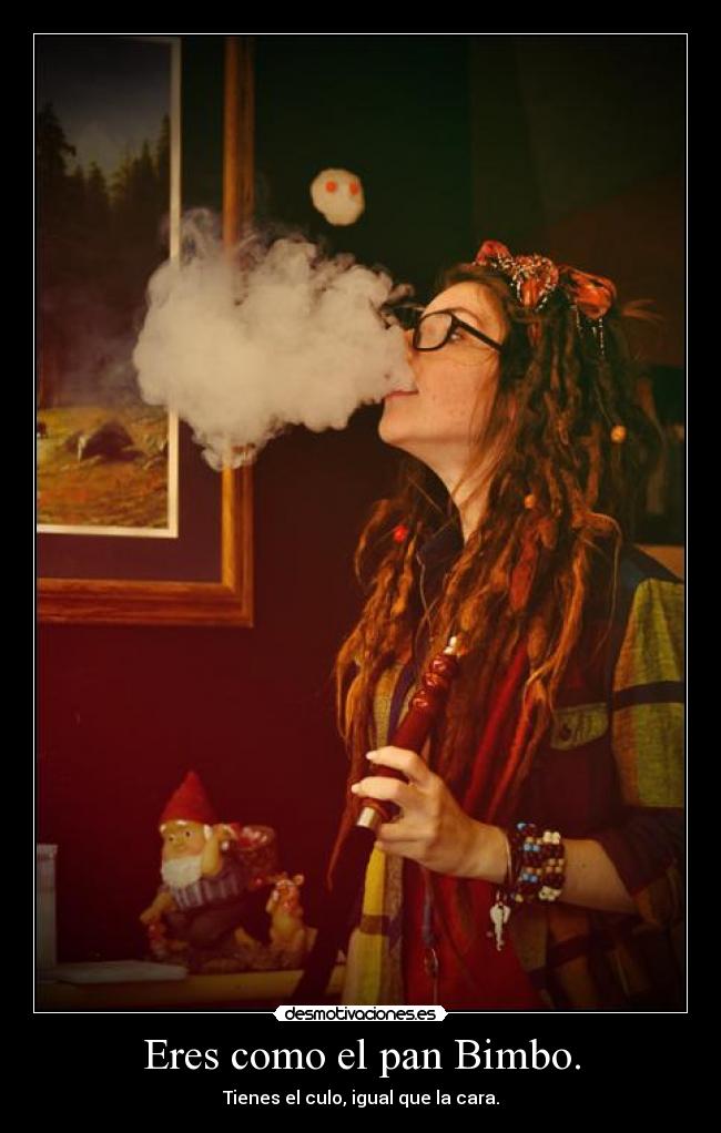 Eres como el pan Bimbo. - Tienes el culo, igual que la cara.