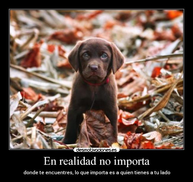 En realidad no importa -