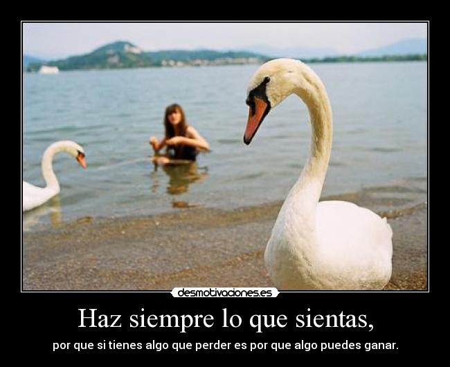 Haz siempre lo que sientas, -